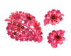 Pinkest Pink Floral Vintage Figural Brooch & Matching Flower Earrings