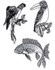 Art Deco Jose Rodriquez Parrot Bird Vintage Costume Figural Pin Brooch